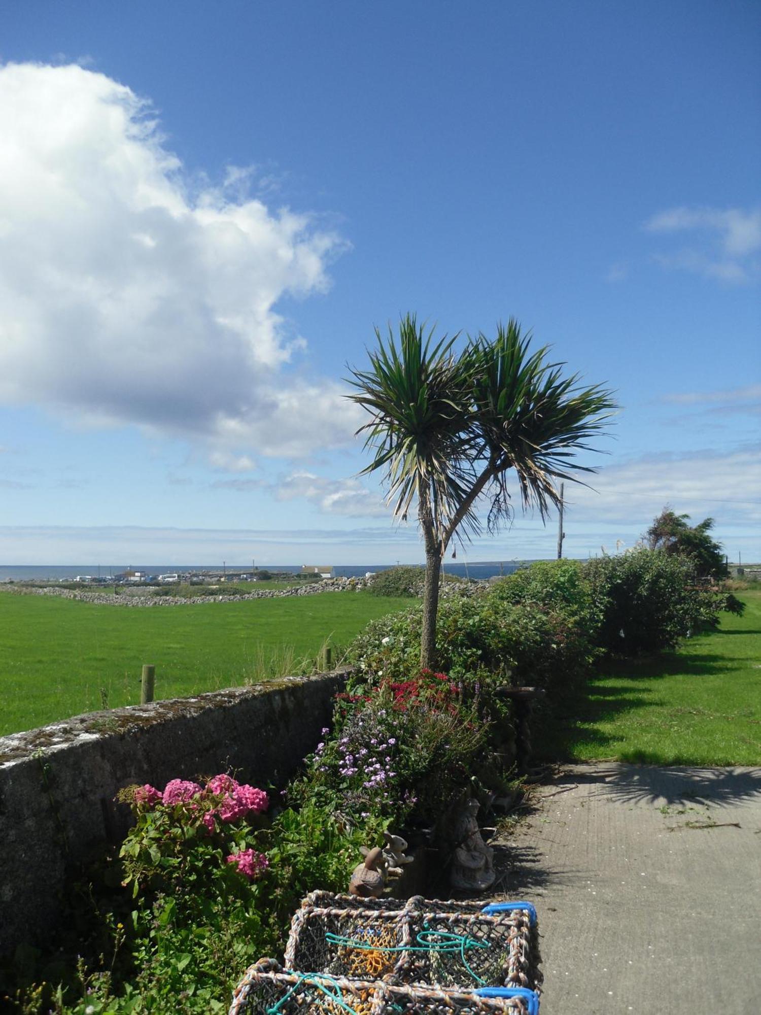 Hotel Atlantic View House Doolin Exterior foto